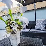 Terrace Dream