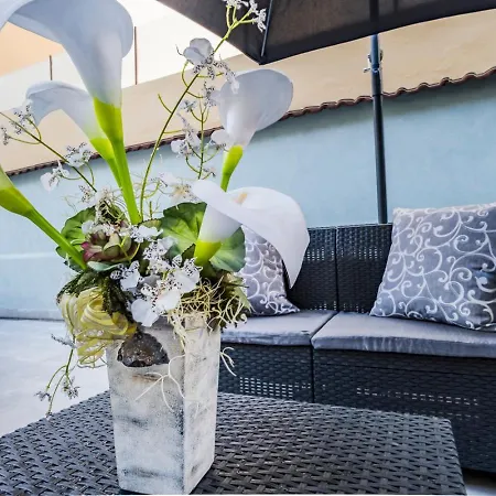Terrace Dream